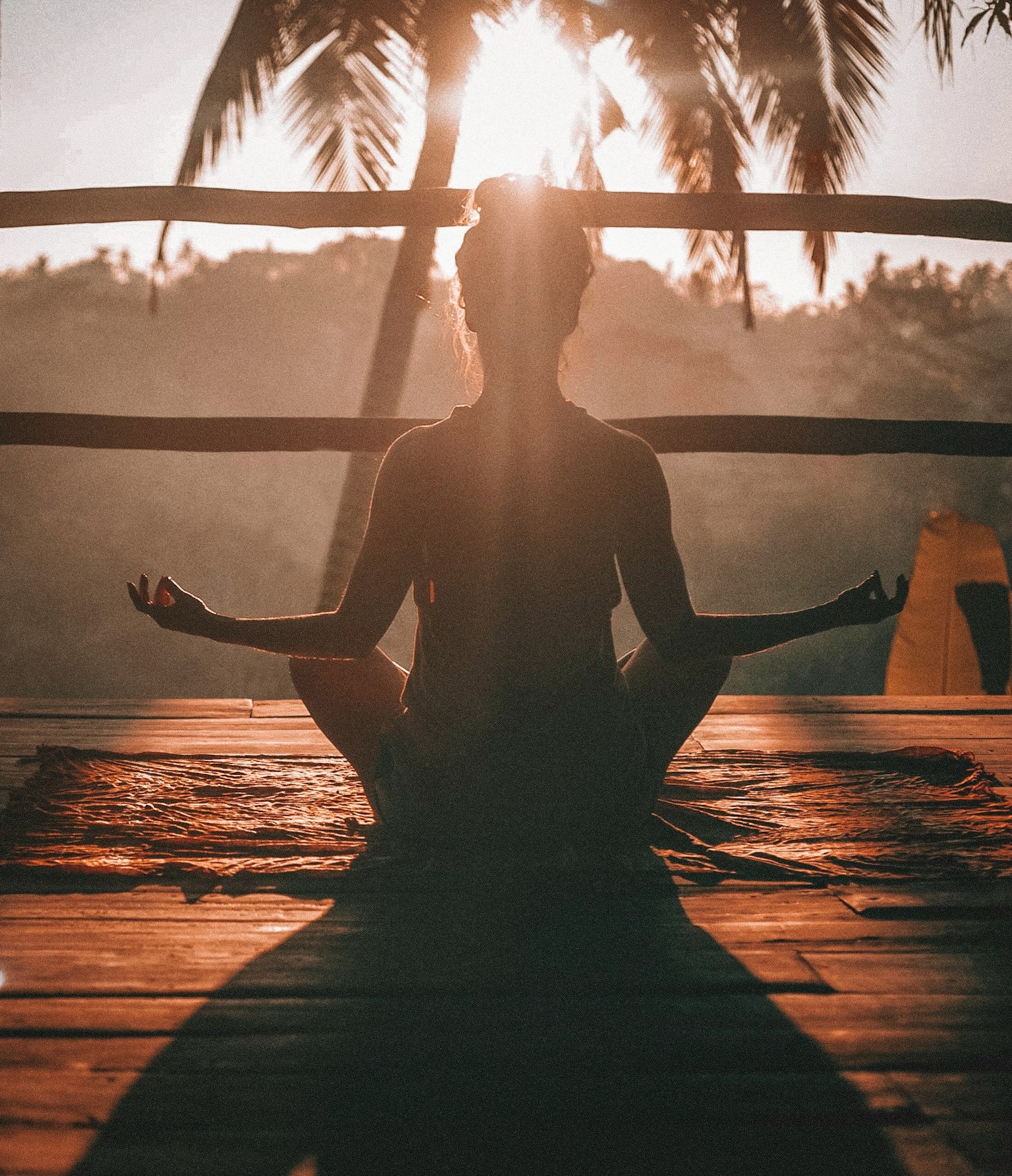 Como Criar um Plano para Liberdade Financeira Sustentável